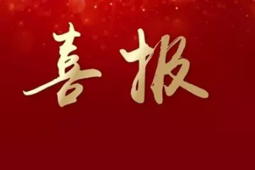 桐鄉(xiāng)市三級干部大會上，同安建設(shè)榮獲兩項(xiàng)榮譽(yù)！